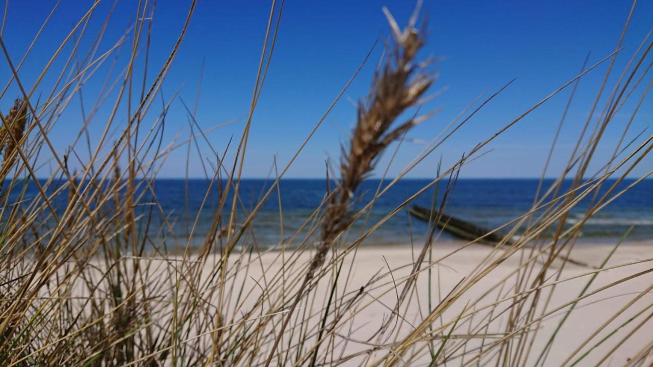 Duneshellter Rogowo Rogowo  Buitenkant foto