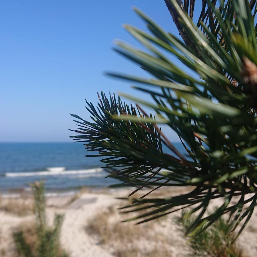 Duneshellter Rogowo Rogowo  Buitenkant foto
